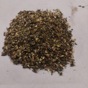 Peu actif / Actif / Croissance / Reprise d'état